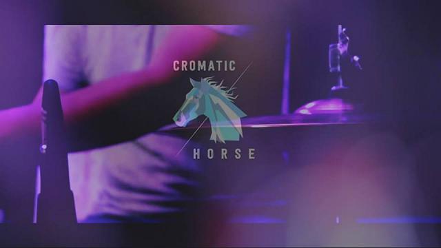 Cromatic Horse