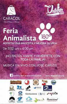 Primer Feria Animalista - Vallarta Jóvenes A Voluntad